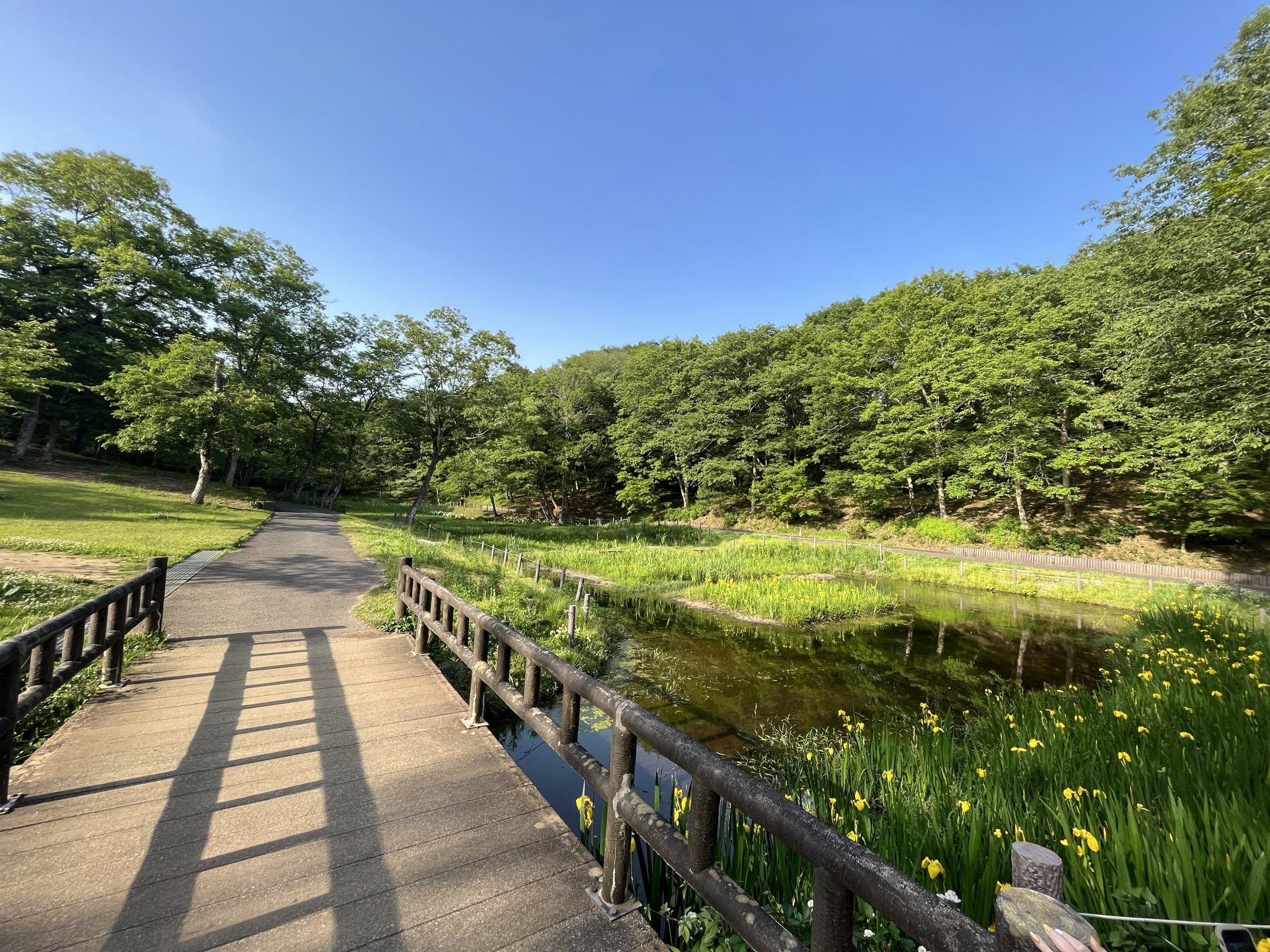 🏞️ 기타야마 시립 공원 (기타야마 시리츠 코엔) 이미지 13